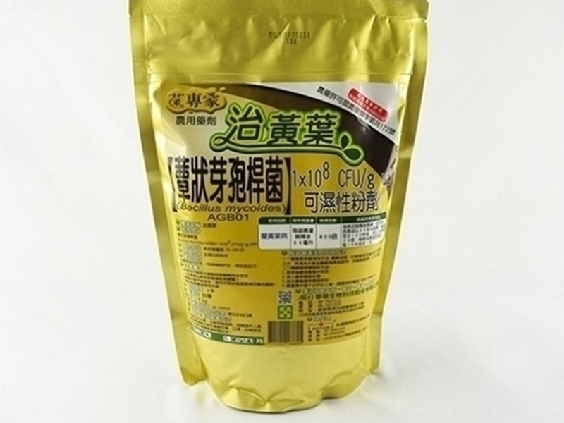 治黃葉蕈狀芽孢桿菌