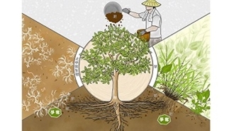 【線上影音課程】輕鬆學!健康施肥的技術與科學-樹木營養生態理論