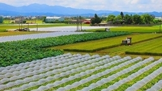 產季到~快來後壁食農採瓜小旅行~體驗田邊採瓜吃瓜啦